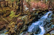 Explore Beyond the Dock: Unforgettable Private Tour in Sitka