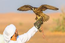 Dubai Desert Safari with BBQ Dinner in red sand
