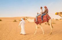 Dubai Desert Safari with BBQ Dinner in red sand
