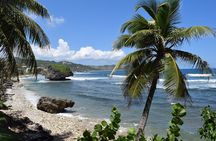 Barbados Highlights and Rum Tour