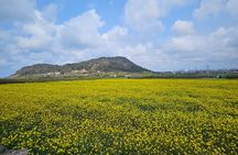 A wheelchair-friendly trip west of Jeju
