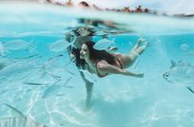 Private Island Getaway Kayak, Snorkeling, Tropical Drinks, Beach