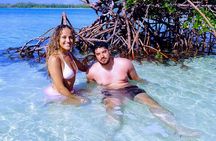 Private Island Getaway Kayak, Snorkeling, Tropical Drinks, Beach
