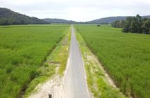 Mossman Highlights eBike Tour