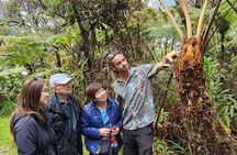 Private Big Island Tour: Coffee, Beaches, Volcanos, Waterfalls