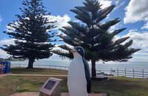 Discovering Tasmania: Burnie Shore Excursion 