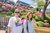 Yanaka Walking Tour: Historic and Traditional District of Tokyo