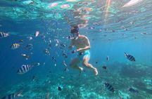 From Cebu: Island Hopping to 3 islands with BBQ lunch