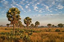 7 Days Safari and Rhino Trekking 