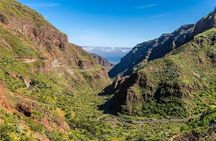 Tour to Guayadeque, Firgas, Fataga - VIP 