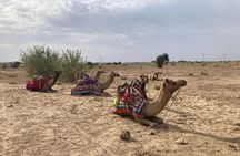 3 Days Tour in Wild Desert Safari