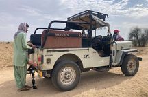 3 Days Tour in Wild Desert Safari