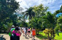 Chichen Itza Early Access Private Tour with Buffet Lunch