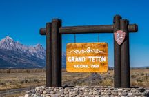 Yellowstone Grand Teton & Jackson Hole 5-day Fully Guided Tour 