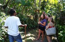 Dominica Hot Springs Waterfalls & Titou Gorge Treasures