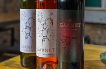 Wine and food tasting in the traditional winery