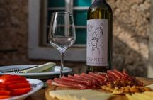Wine and food tasting in the traditional winery
