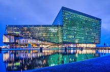 Private Reykjavik City and Architecture Walking Tour