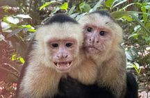 Private Manuel Antonio National Park