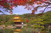 Full Day Guided Kyoto Cultural Tour