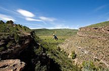Zip-lining in Cape Town - Based at the Foot of the Table Mountain