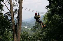 Zip-lining in Cape Town - Based at the Foot of the Table Mountain
