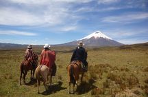 4 Day Private Tour From Volcanoes route to the Amazon Rainforest 