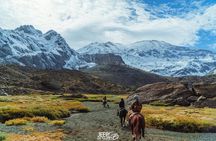 Santiago: Horse riding experience with Chilean BBQ all-included
