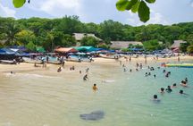 One Day from Oaxaca Getaway to Puerto Escondido