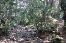 Travel to Heredia and the mountains 