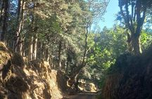 Travel to Heredia and the mountains 