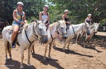Borinquen one day tour (zip line- horses- hot springs)