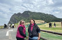 Jeju Island Popular Sightseeing Private Car Charter Tour