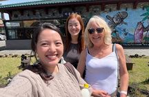 Jeju Island Popular Sightseeing Private Car Charter Tour 5/9hours