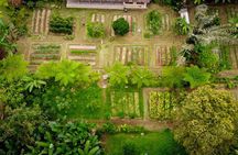 Balinese Farm Cooking Class by Pemulan Bali