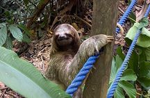 Nauyaca Waterfalls and Beach Town Tour /All Inclusive Full Day