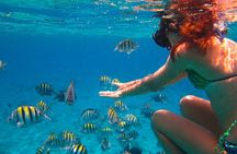 Snorkeling in Heaven Cozumel From Cancun