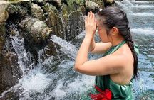 Ubud Waterfalls, Water Temple and Rice Terrace - Private Tour