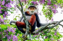 Explore Son Tra Peninsula, Monkey Mountain, Lady Buddha half-day