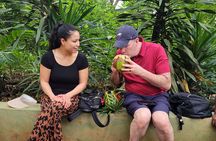 Zanzibar Spice Tour and Lunch Experience