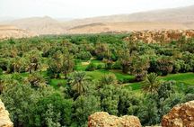 Half day Rock climbing Todra gorges