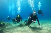 Try Scuba Diving | 2 dives