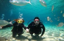 Try Scuba Diving | 2 dives