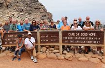 Shared Half Day Tour in Cape Peninsula with African Penguins