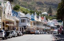 Shared Half Day Tour in Cape Peninsula with African Penguins