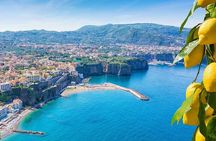 Amalfi Coast with Wine Tasting - Private Driving Tour from Rome