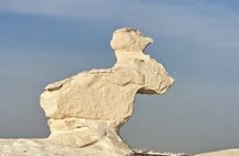 4-Days Bahariya Oasis and White Desert Safari Tour from Cairo