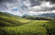 4 Day Tour at Nagaland Dzukou Valley