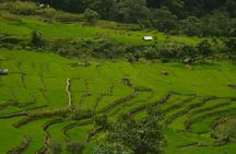 4 Day Tour at Nagaland Dzukou Valley