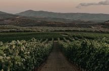 Premium Cretan Olive Oil Tasting, Wine, Raki and Local Food Tour